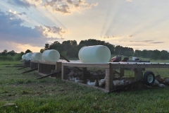 10526160_511851808962008_6530210556400070430_n