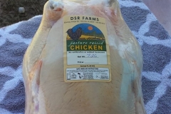 13138783_638927259587795_3403131544009627327_n