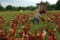 40797618_521669111612975_4183096759582457856_n