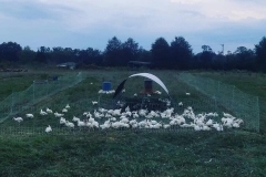 42389300_1114388765374973_4684859402019143680_n