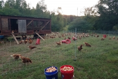 42730814_1051912578309246_5407367476386201600_n