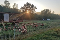 43477959_1121658354648014_6683079639264395264_o (1)