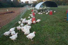 45175802_293195571297260_7164419171042721792_n