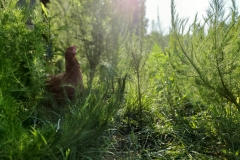 67403751_922889984717908_8894116167451410432_n