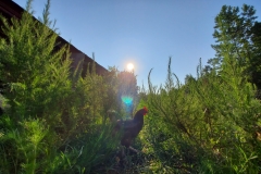 67722359_2536954433032012_4512162954640097280_n