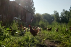 68454376_2396169347317497_2036434420998602752_n