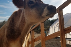 27935613_10155658494406284_1750727728_n