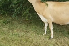 42617445_1983414361680189_7760376987515879424_n