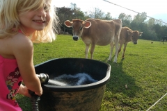 45256763_261924454508191_1141611584406159360_n