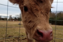 47431268_10156358966726284_3922526591292276736_o