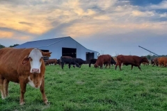 67294459_460295474519924_8601563069925031936_n