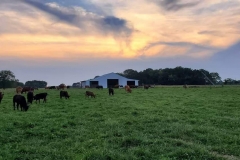 67528953_460230001478905_283522572304252928_n