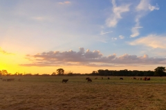 67945284_655653924916952_8245360137619898368_n