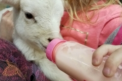 27993987_10155658495176284_673316320_n