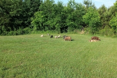 13227834_644748485672339_9163164726462926883_o