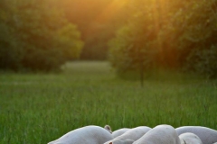 13731766_10154031669126284_5696335804074856298_o