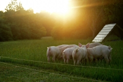 13738300_10154031669406284_7373684320380680289_o