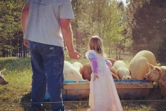 20106411_854612774685908_2273308950368725626_n