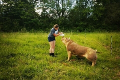 20108656_854611111352741_5246443966853621392_n