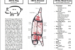 22179740_888857657928086_4591255505418565227_o