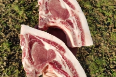 23319043_908057159341469_9047953933158492506_n