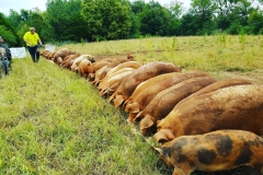 39300732_1088983907915459_1401174806203727872_o