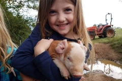 44075005_1127270144086835_1733816535765483520_n