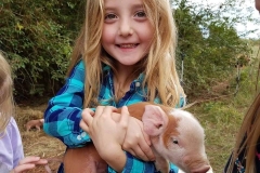 44180503_1127270094086840_3053279146781179904_n