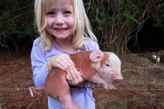 44229686_1127270034086846_7118218371048407040_n