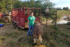 45020432_185368575716745_8253920467002327040_n