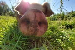 67402009_695952920830382_8340172524226609152_n